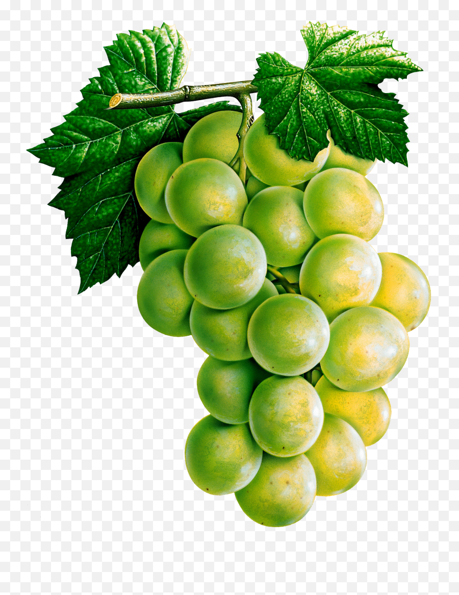 Grapes Png Image - Large Cross Stitch Patterns Free Emoji,Grape Emoji