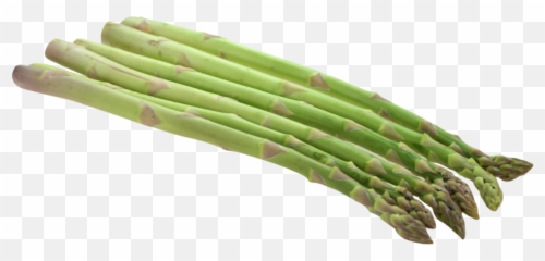 Library Asapagass Png Files - Asparagus Png Emoji,Asparagus Emoji
