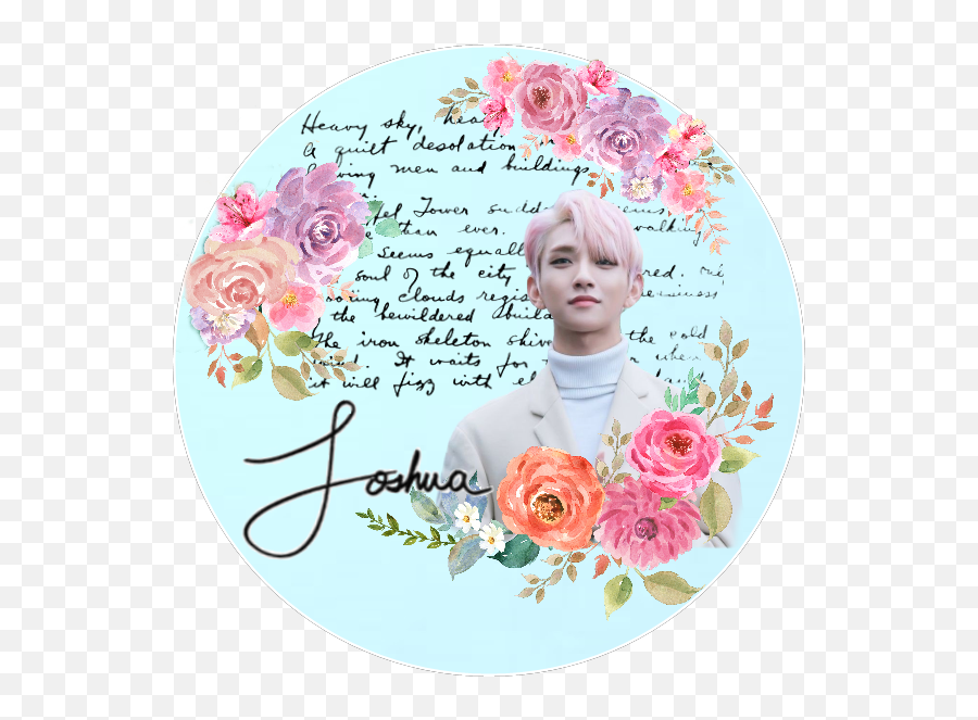 Seventeen Seventeenedit Joshua Sticker By Alena - Garden Roses Emoji,Heary Emoji