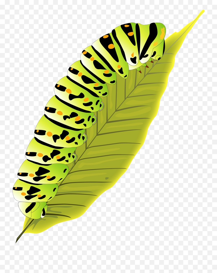 Leafworm Clipart - Larva Color Emoji,Worm Emoji