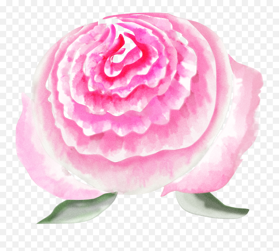 About - Houseofgul Garden Roses Emoji,Japanese Flower Emoticon