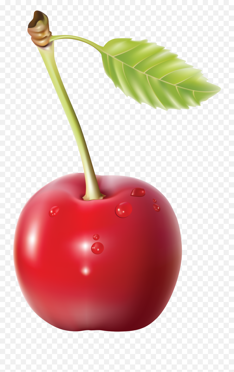 Fruits Clipart Cherry Fruits Cherry Transparent Free For - Single Cherry Png Emoji,Cherry Emoticon