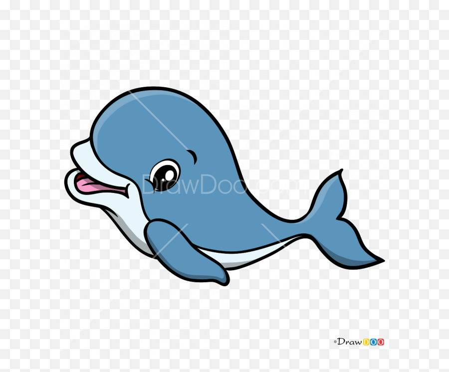How To Draw Baby Dolphin Baby Animals - Cute Baby Dolphin Drawing Emoji,Dolphin Emoji