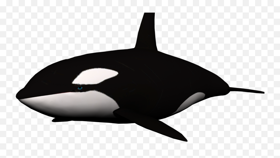 Free Killer Whale Transparent Download - Whale No Background Png Emoji,Orca Emoji