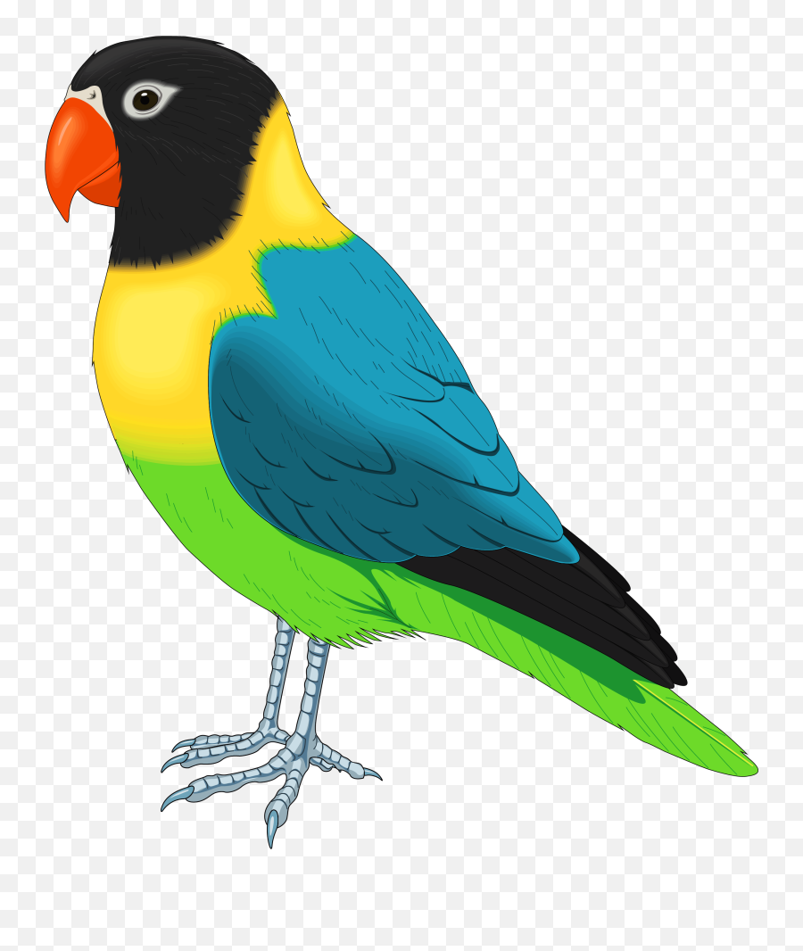 Beak Of Birds Clipart - Bird Clipart Emoji,Parrot Emoji