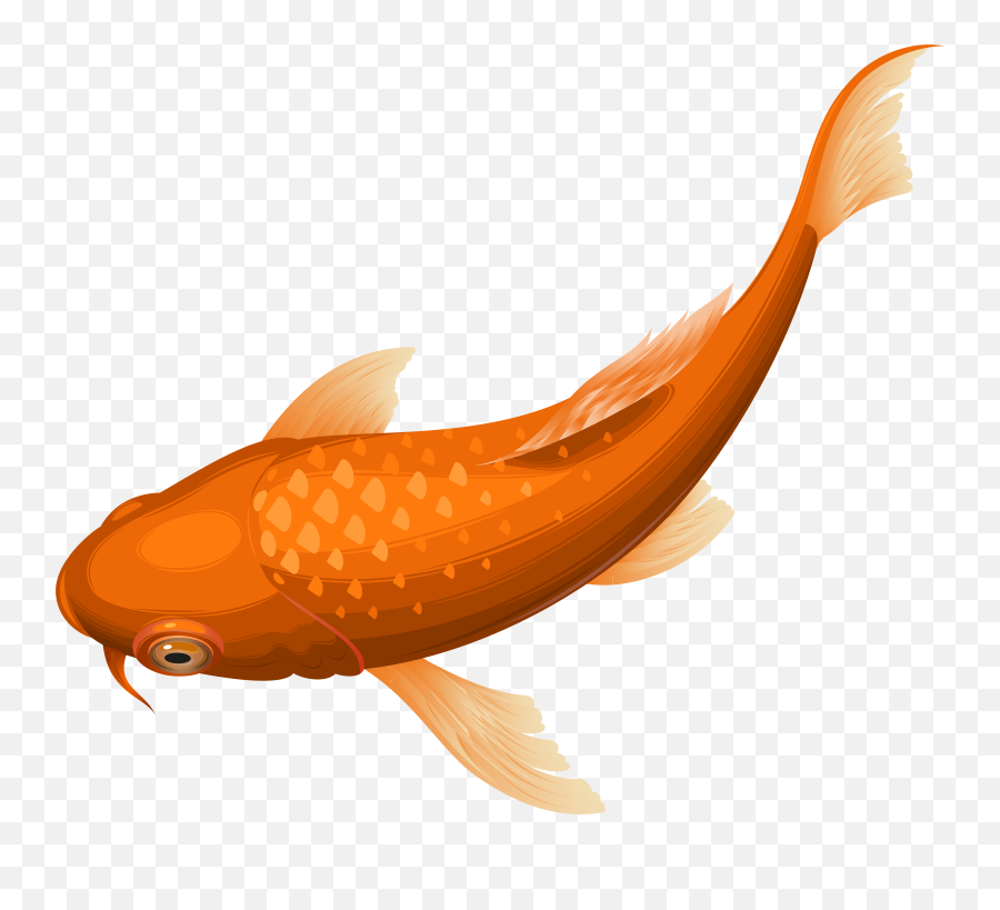 Download Hd Fish Png Transparent Png Image - Nicepngcom Emoji,Fish Emoji Transparent