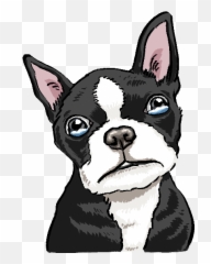 Dogcalc - Memo Calculator U0026 Dog Stickers By Leo Rivasmicoud Boston Terrier Sticker Png Emoji,Memo Emoji