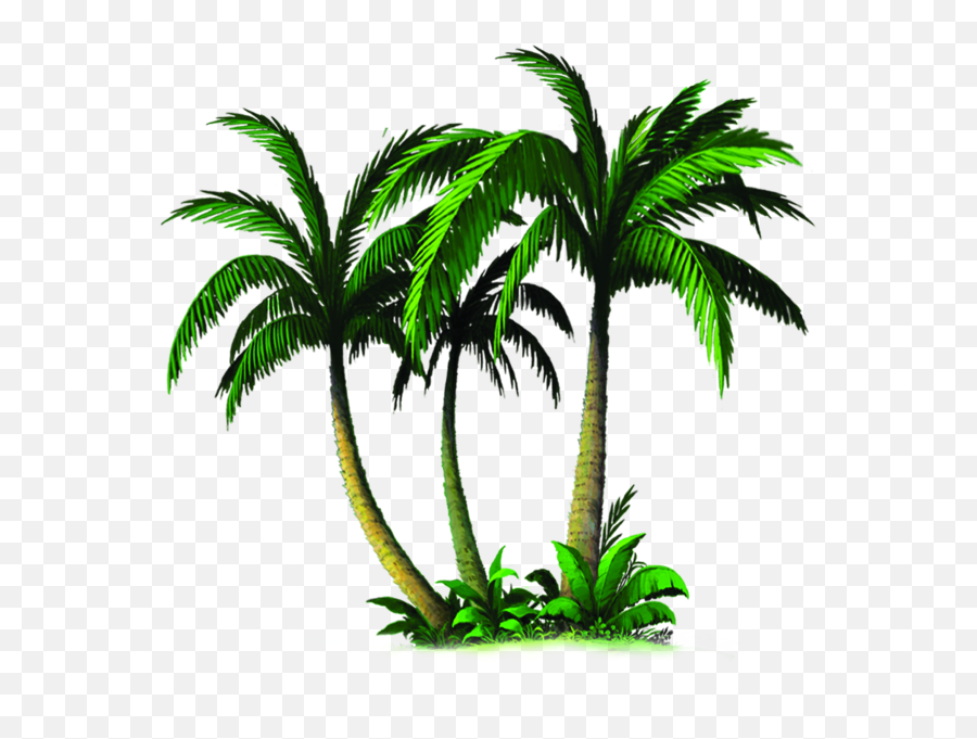 Download Palm Tree Emoji Transparent - Vela De Aniversário Safari,Palm Tree Emoji
