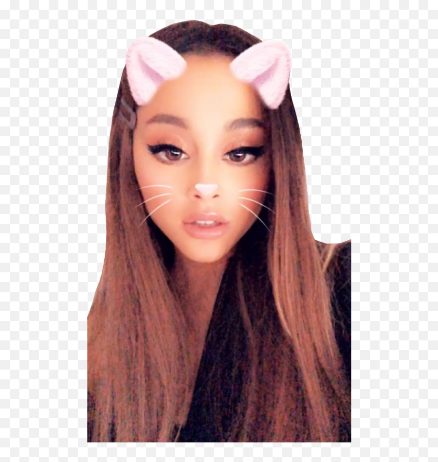 Pink Snap Snapchat Ariana Grande Arianagrande Cat Catea - Ariana Grande Selfie Emoji,Ariana Grande Emoji