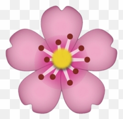 Pink Pepe Whatsapp Sticker Ios - Cherry Blossom Emoji Png,Pink Bow Emoji