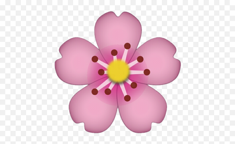 Pink Pepe Whatsapp Sticker Ios - Cherry Blossom Emoji Png,Pink Bow Emoji