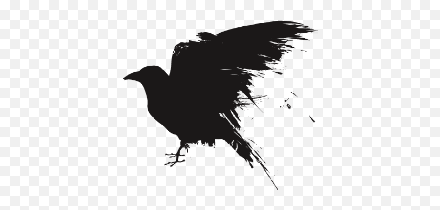 Free Png Images - Dlpngcom Raven Png Emoji,Raven Bird Emoji