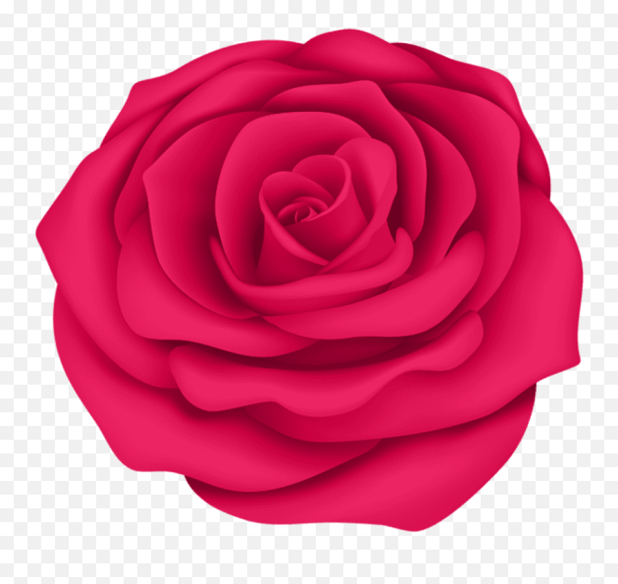Free Png Pink Rose Flower Transpa Png Images Background - Flower Blue Rose Emoji,Rose Emoji Png