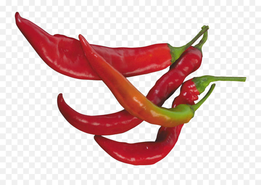Free Serrano Pepper Cliparts Download - Transparent Background Chili Pepper Png Emoji,Hot Pepper Emoji