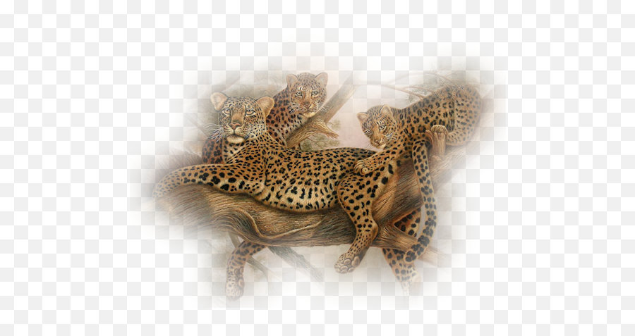 Download Leopard Hq Png Image In - Leopard Emoji,Leopard Emoji