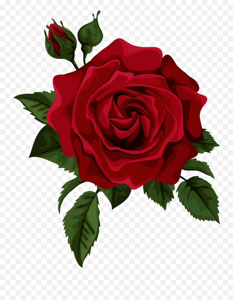 Rose Flower Red Euclidean Vector - Transparent Rose Png Emoji,Rose Emoji Png
