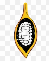 Cacao Pod Split Open Graphic - Cocoa Bean Clipart Full Cocoa Pod Cocoa Beans Clipart Emoji,Hooray Emoji
