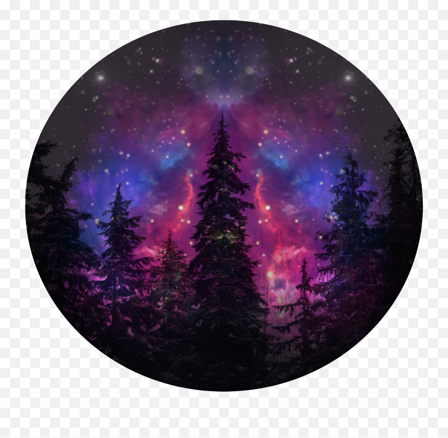 Popular And Trending Trees Stickers On Picsart - Christmas Tree Emoji,Trees Emoji