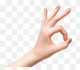 okay hand okhand oke okey oksticker scok This - Hand Okay Emoji