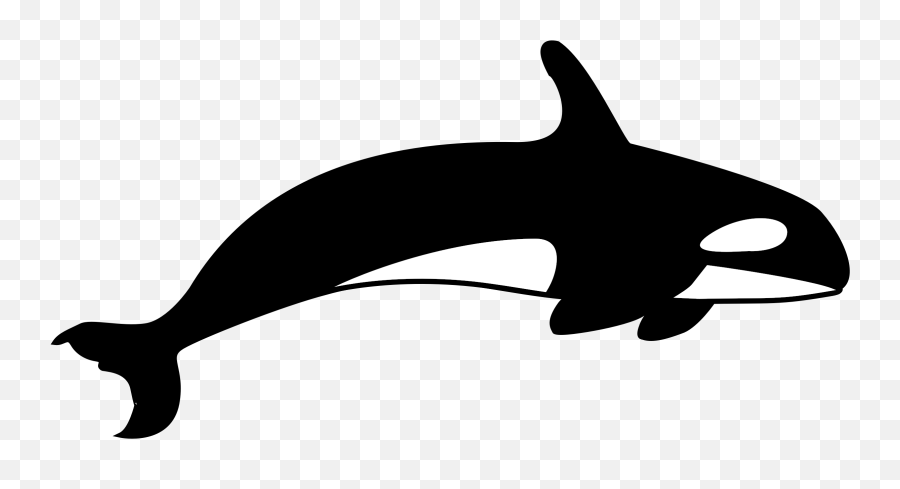 Orca Animated Transparent Png Clipart - Killer Whale Clipart Black And White Emoji,Orca Emoji