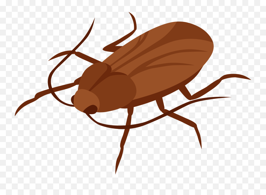 Collection Of Emojis Clipart - Cartoon Picture Of A Cockroach,Flying Money Emoji