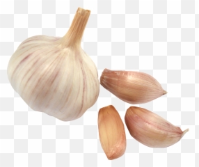 Elephant Garlic Shallot Zhajiangmian - Garlic Png Emoji,Garlic Bread Emoji