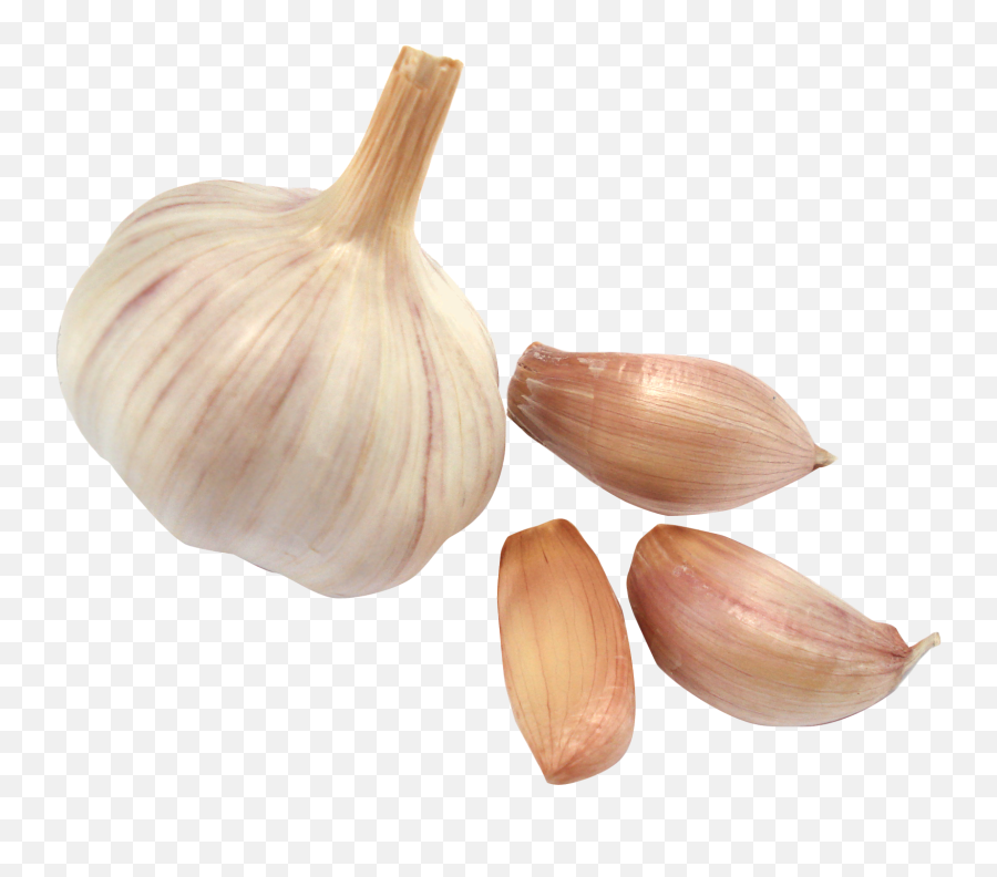 Elephant Garlic Shallot Zhajiangmian - Garlic Png Emoji,Garlic Bread Emoji