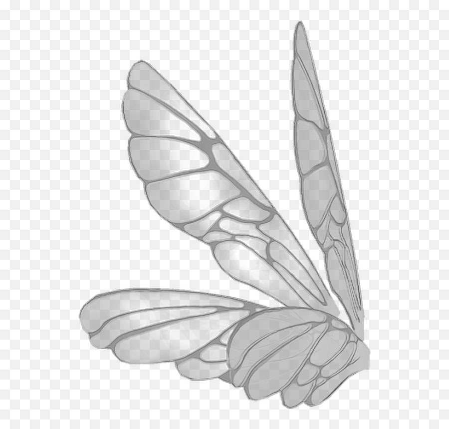 Butterfly Sticker For Ios Amp Android - Free Photos Fairy Wings Side View Emoji,Butterfly Emoji