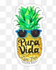 Pineapple In Sunglasses Costa Rica - Automotive Decal Emoji,Costa Rica Emoji