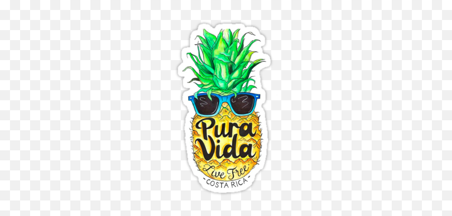 Pineapple In Sunglasses Costa Rica - Automotive Decal Emoji,Costa Rica Emoji