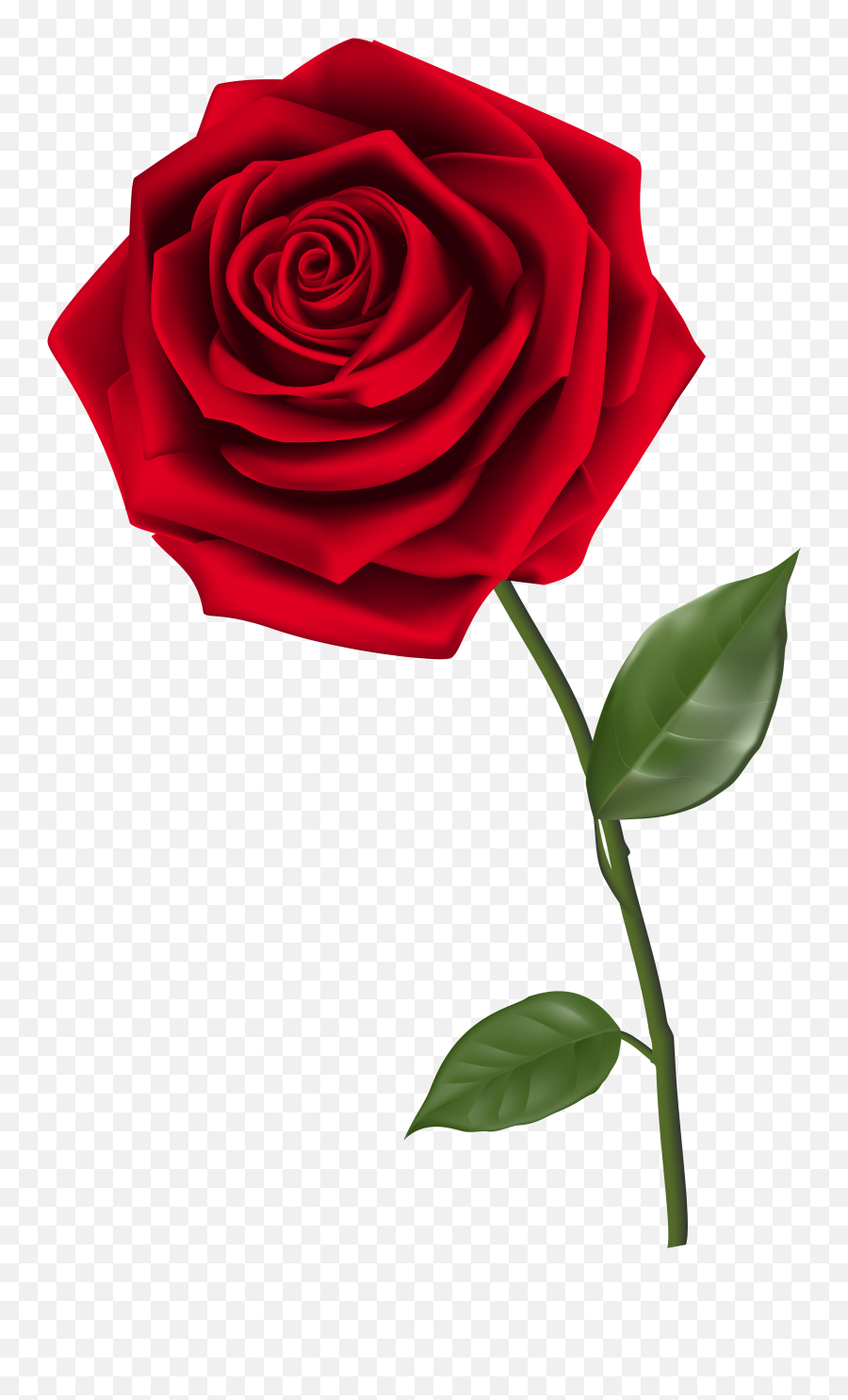 Single Red Rose Emoticon Meaning Transparent Background Red Rose Png Emoji Wilted Rose Emoji Free Transparent Emoji Emojipng Com