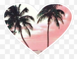 heart sunset palm hearts palms love surf fanartofkai - Attalea Speciosa Emoji