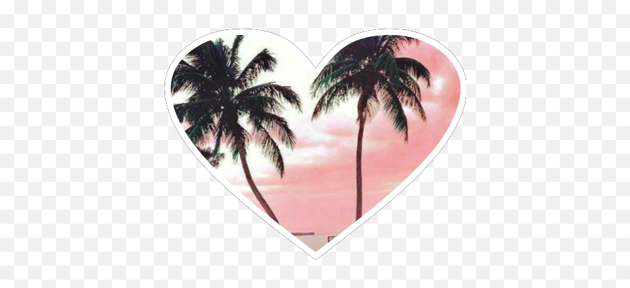 Heart Sunset Palm Hearts Palms Love Surf Fanartofkai - Attalea Speciosa Emoji,Palms Up Emoji