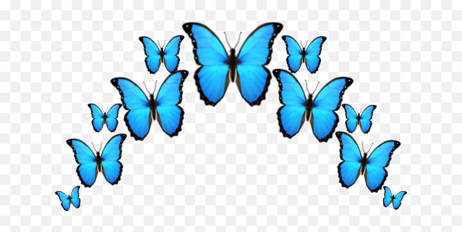 Butterfly Butterflys Crown Blue Tumblr Emoji Emojis Sti - Picsart Emoji Butterfly,Blue Butterfly Emoji