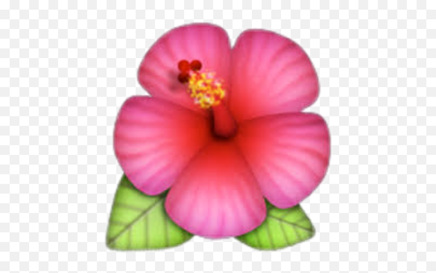 Tropical Emoji Png Picture - Hibiscus Emoji,Tropical Emojis