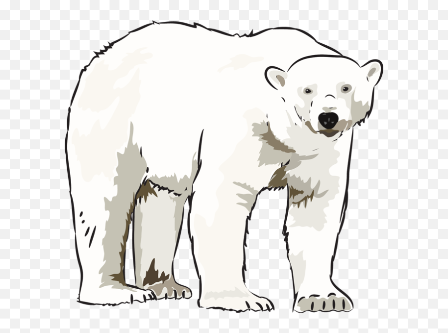 Art Polar Bear Clipart Clipart Kid - Polar Bear Black And White Emoji,Bear Hot Emoji