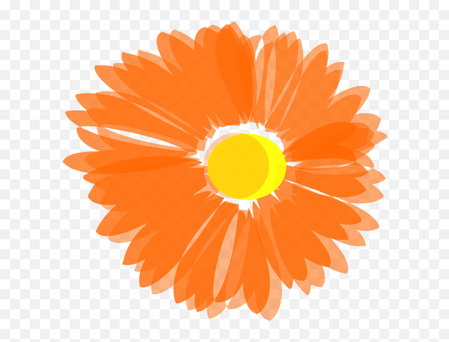 Free Orange Flowers Flower Vectors Orange Flower Free Clip Art Emoji Free Transparent Emoji Emojipng Com,How To Cook Chicken Feet