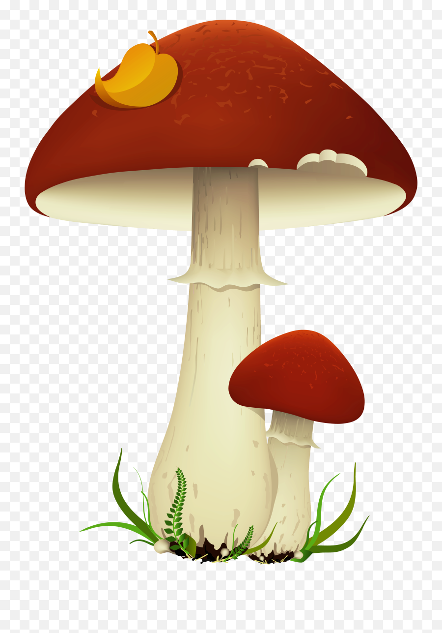 Fall Mushrooms Transparent Png - Transparent Background Mushroom Clipart Emoji,Emoji Mushroom