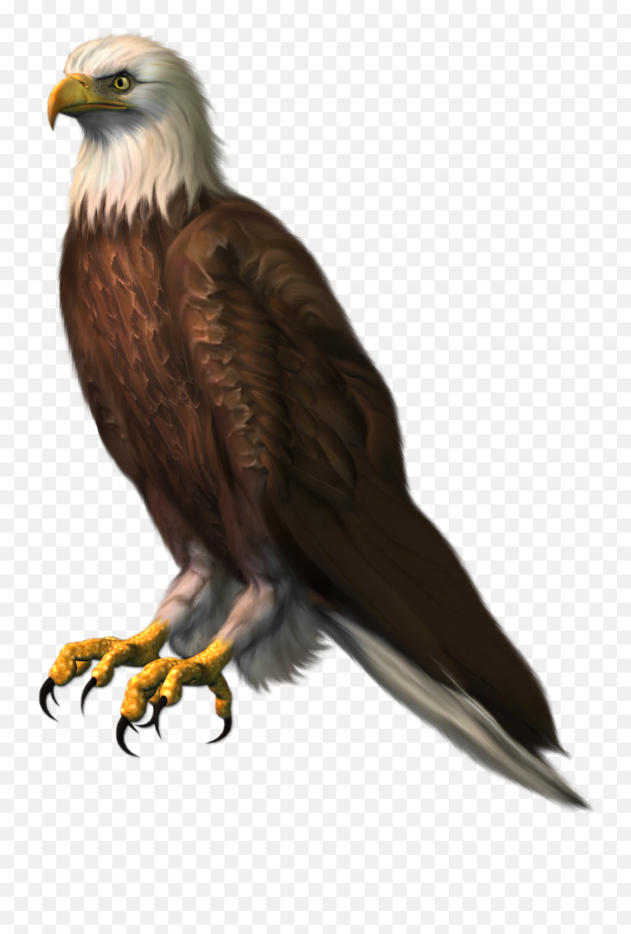 Eagle Clipart Png - Eagle Bird Png Emoji,Eagle Emoji Android
