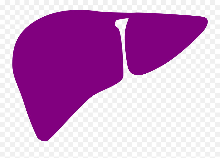 Liver Clipart Svg Liver Svg Transparent Free For Download - Purple Liver Emoji,Liver Emoji