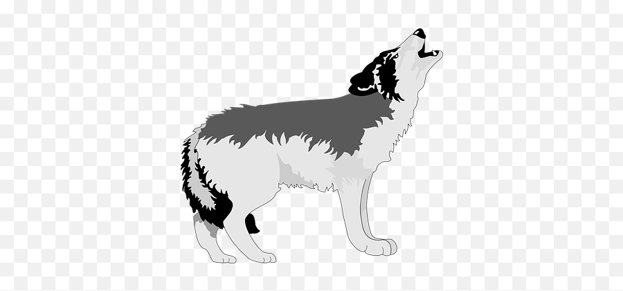 100 Free Wolf U0026 Animal Vectors - Pixabay Transparent Cartoon Wolf Png Emoji,Werewolf Emoji