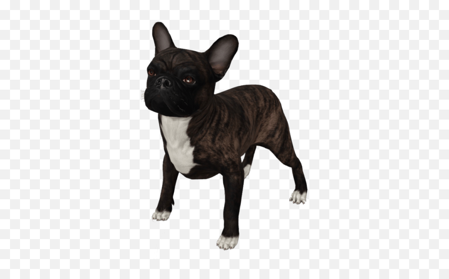 Kumar Janglu We Believe In Technology - Dog 3d Animals Google List Emoji,Oriole Emoji