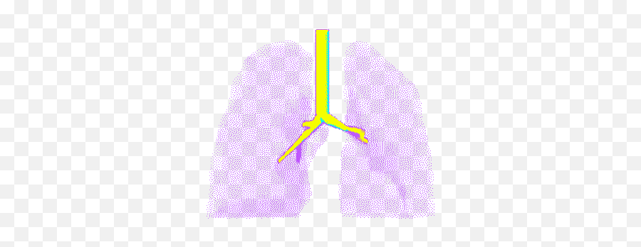 Top Medical Animation Stickers For - Animated Transparent Lungs Gif Emoji,Lung Emoji