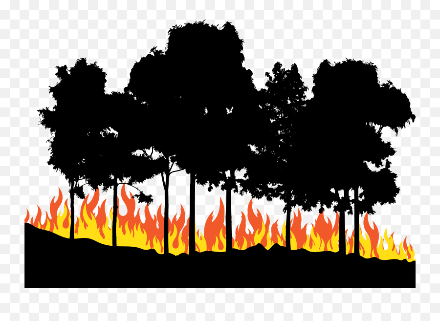Fire In The Woods Png Download - Transparent Forest Fire Clipart Emoji,Tree Fire Emoji