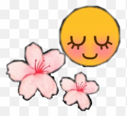Flower Sakura Smile Smiley Emoji - Caesalpinia,Smile Flower Emoticon
