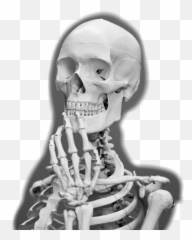 Boneless - Goosey Night Emoji
