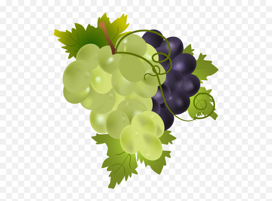 Grapes Clip Art Image - Clipartix Clip Art Transparent Grapes Emoji,Grape Emoji