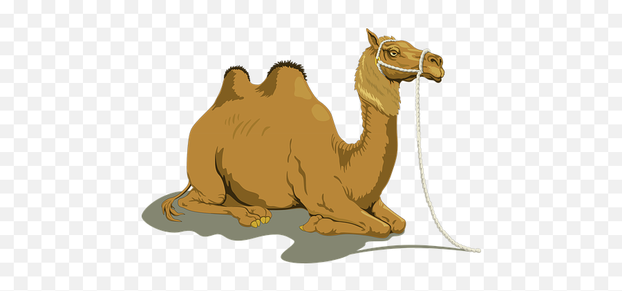100 Free Rest U0026 Bed Vectors - Pixabay Camel Clip Art Emoji,Camel Emoticons