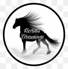 Largest Collection Of Free - Toedit Em Stickers On Picsart Horse Hairs Silhouette Emoji,Twaimz Emoji Face