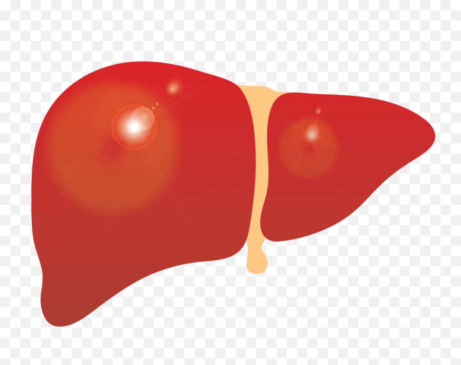 Liver Clipart Png - Liver Clipart Emoji,Liver Emoji